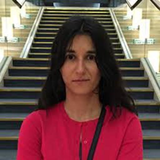 Katerina Fragkiadaki